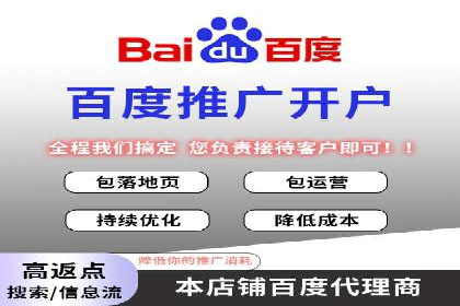 百度广告竞价策略详解：某电商平台的成功案例